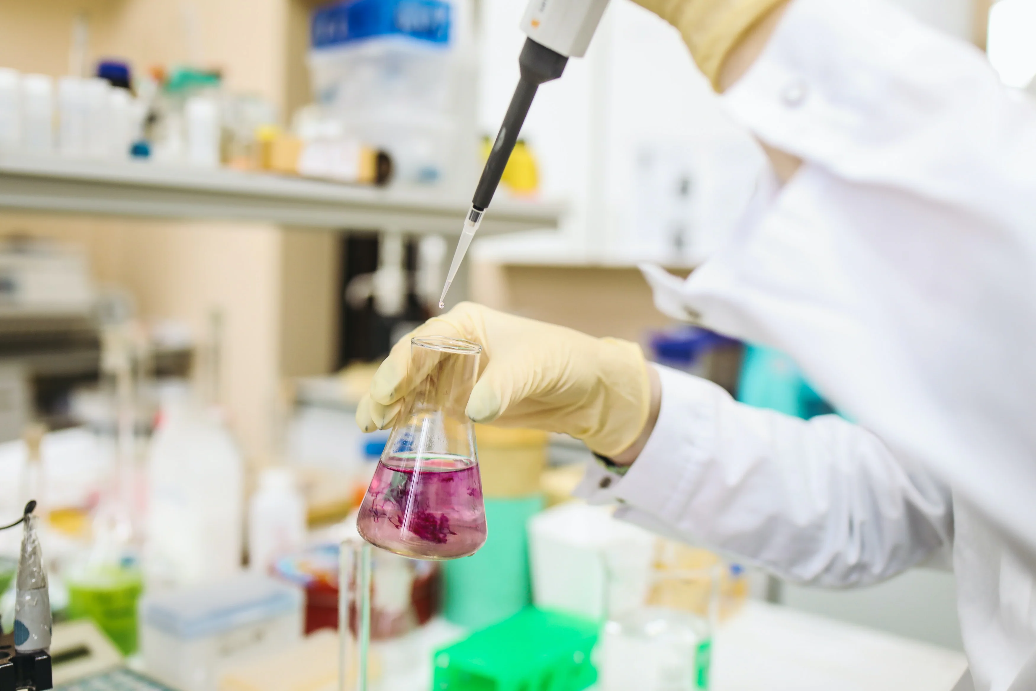 Laboratorio del Gruppo Bucciarelli