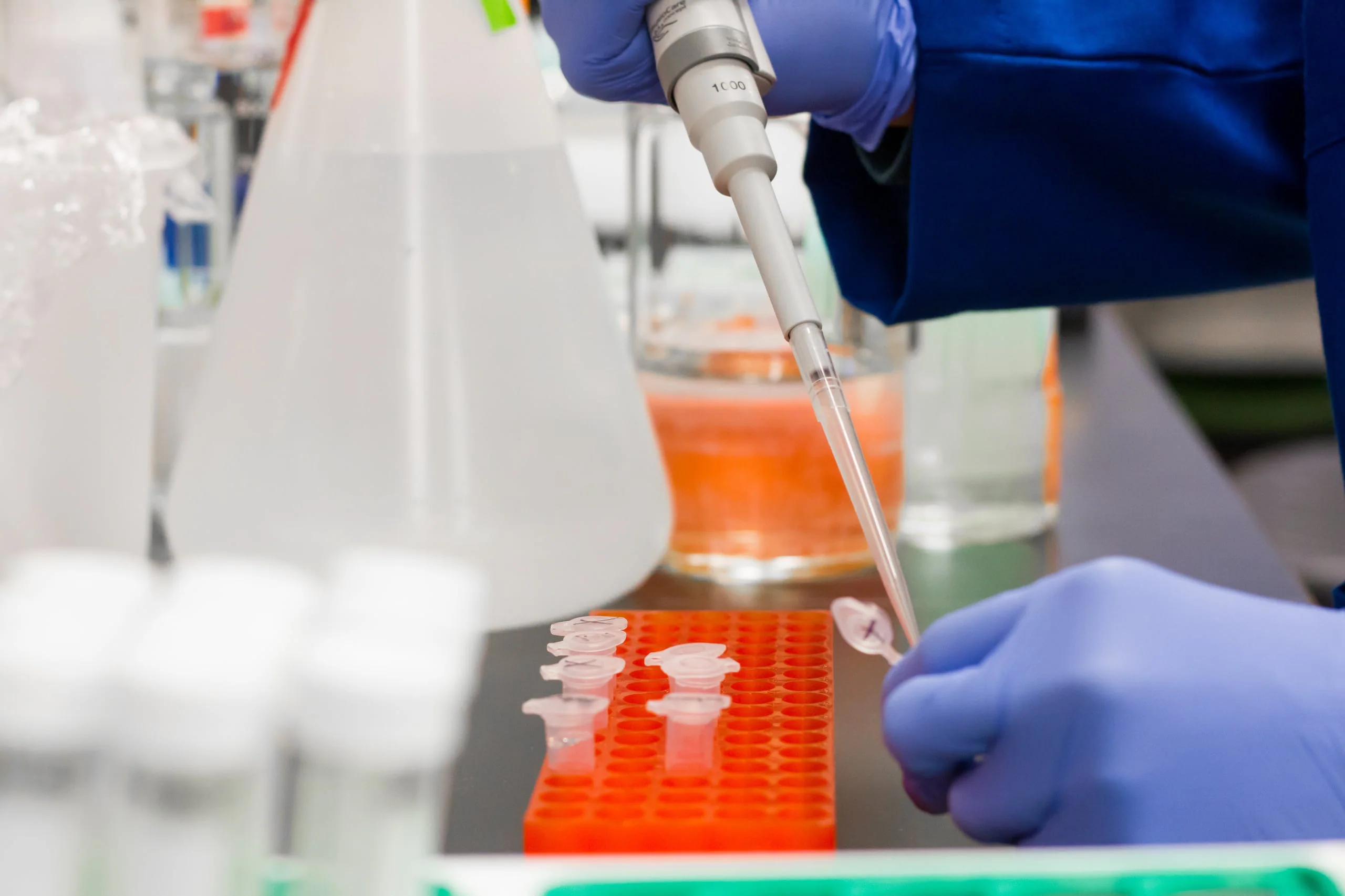 Attività di laboratorio