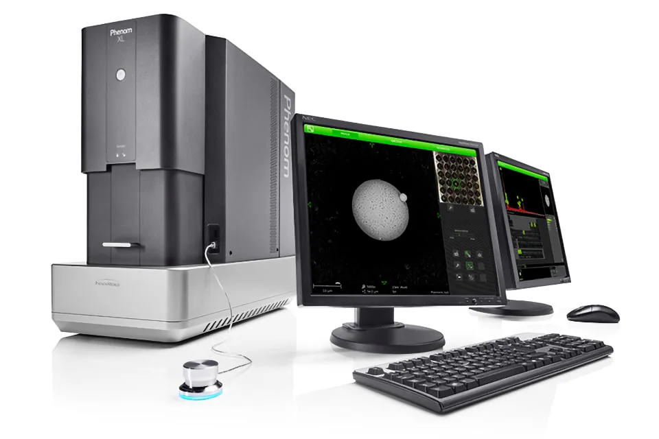 Microscopia elettronica a scansione SEM