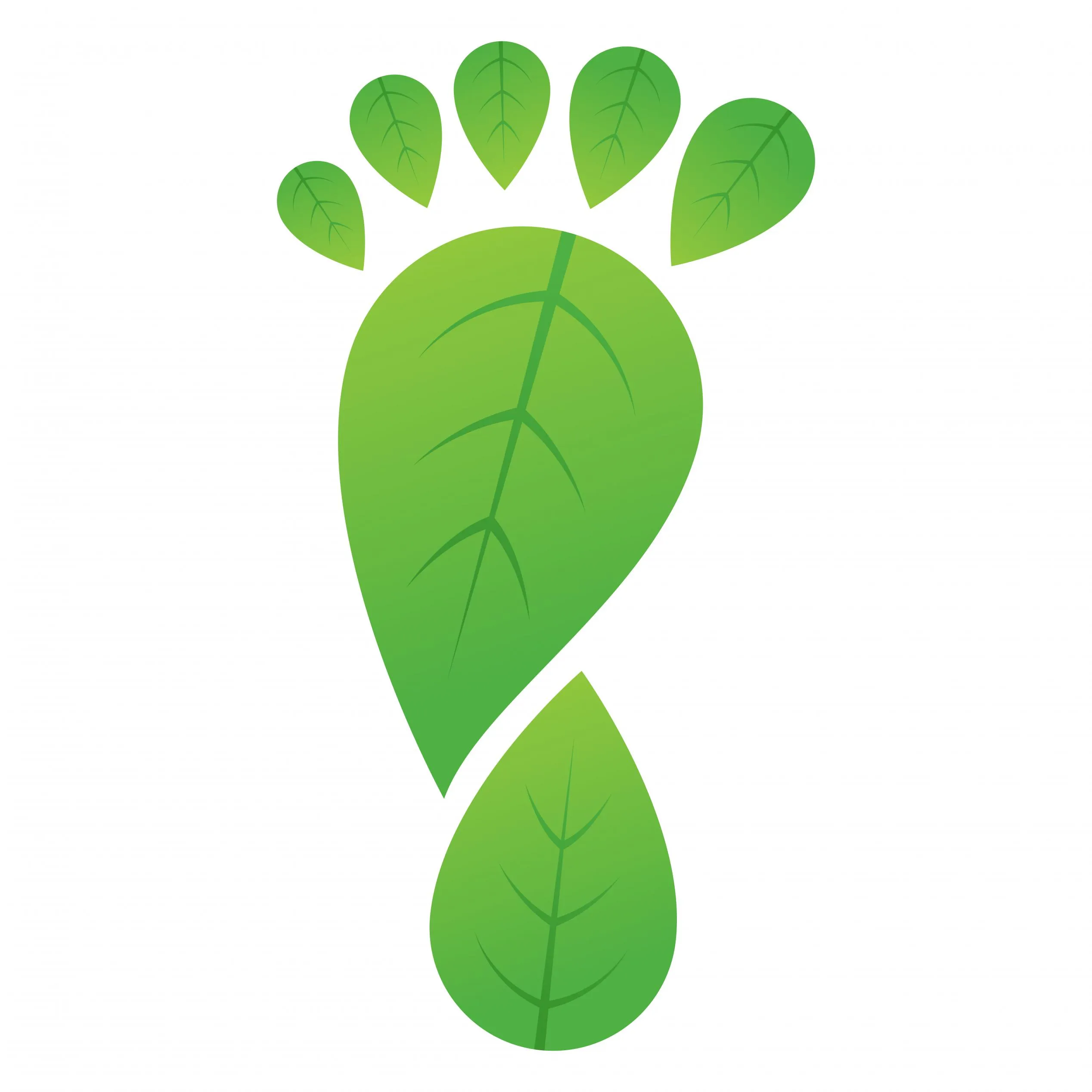 Carbon Footprint e Sostenibilità: Come rendicontare?