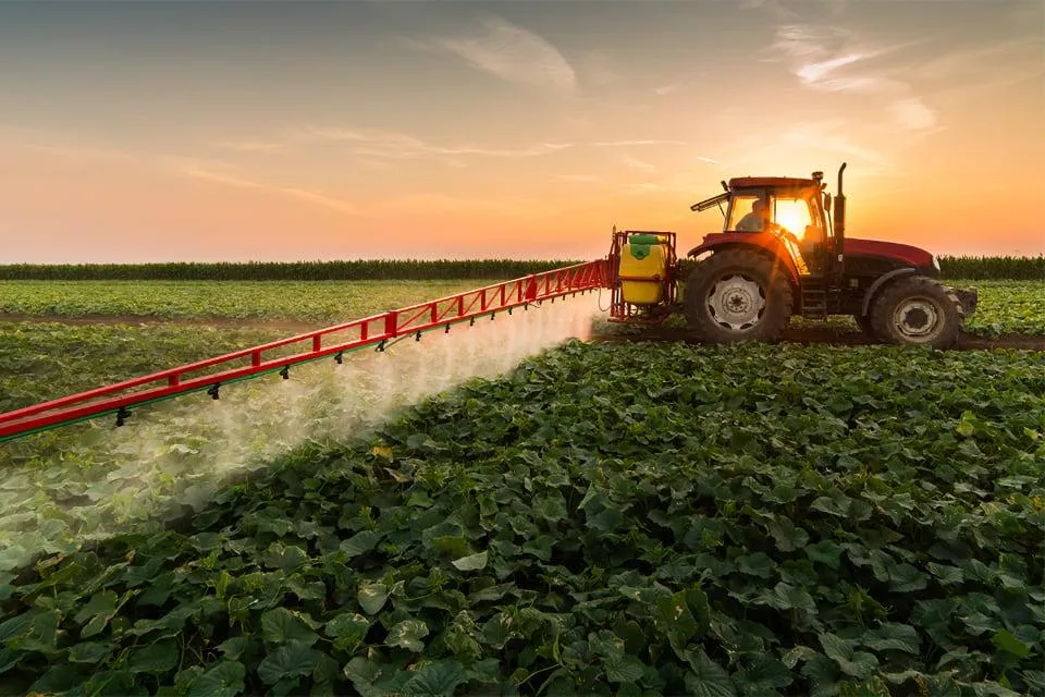 Pesticidi : cosa sono utilizzi, rischi e classificazione