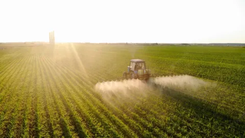 Pesticidi: vantaggi e rischi per l’ambiente e la salute