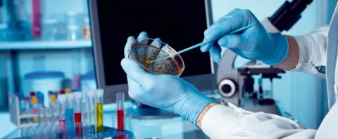 Legionella: rischi per la salute