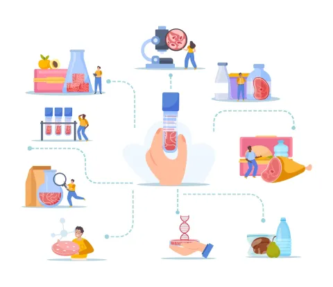Visualizzare per controllare: come i Diagrammi di Flusso migliorano la qualità alimentare