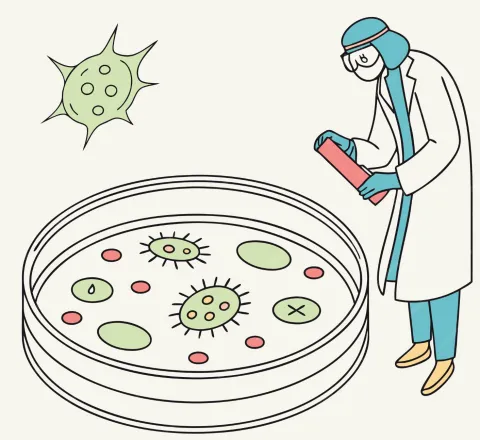 Salmonella: cinque cose da sapere